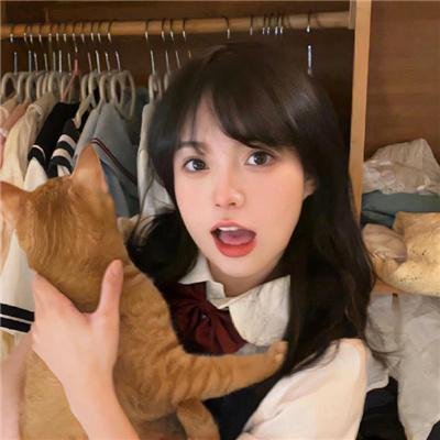 狗年